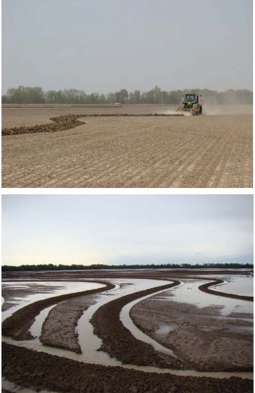 Trimble provides farmers with a guidance line. The smoothed contour line is transferred to the in-field display and can be used with an automated steering solution, enabling farmers to more efficiently install rice levees. (Images courtesy of Delta Positions Inc.)