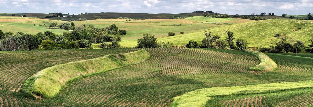 Agren - Conservation Tools - Iowa