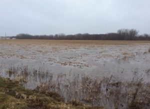 Flooded fields near Ames, IA - December 2015