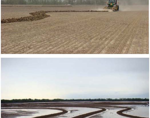 Trimble provides farmers with a guidance line. The smoothed contour line is transferred to the in-field display and can be used with an automated steering solution, enabling farmers to more efficiently install rice levees. (Images courtesy of Delta Positions Inc.)