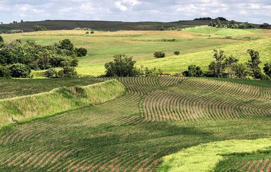 Agren - Conservation Tools - Iowa