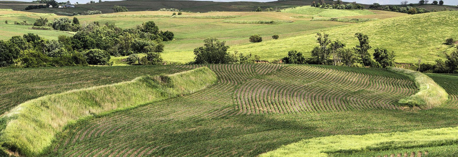 View of farmland